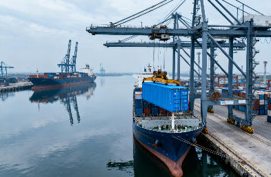 框架箱海運(yùn)首選貨代：開(kāi)頂 / 平板 / 高箱全類(lèi)型，適配不同大件貨物需求